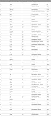 Neurobehavioral characteristics of mice with SETD5 mutations as models of IDD23 and KBG syndromes